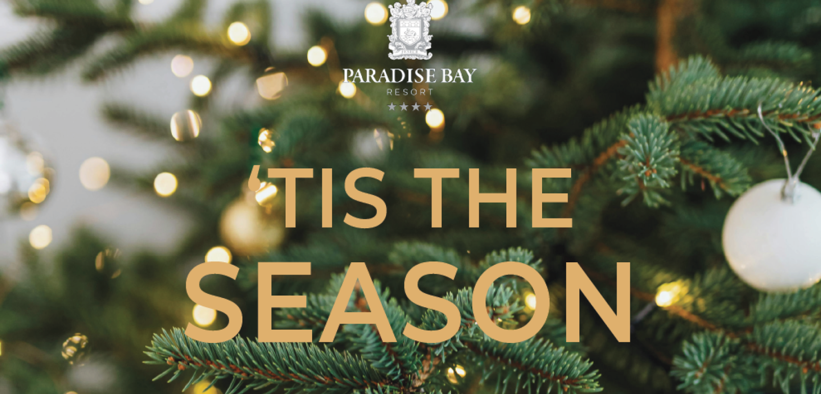 Screenshot 2025-10-07 121441